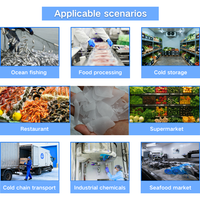 Machine à glace en flocons industrielle Coldsmart 1000 kg/jour, machine à glace en flocons de haute qualité pour le poisson, économie d'énergie, utilisation commerciale des produits de la mer