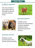 Personnalisé 1% Prémélange Aliment pour Volaille Bovins Mouton Vache Chèvre Lapin Poisson Haute Efficacité Alimentaire Qualité Acides Aminés Enzymes Suppléments