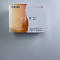 Patchs Amincissants aux Herbes Ermi Drainage Lymphatique pour Brûler la Graisse Abdominale Hypoallergéniques Certifiés CE Durée de Conservation de 2 Ans Soin Corporel