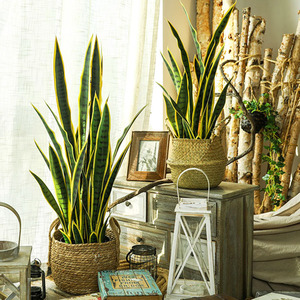 Plante artificielle en pot Dream Castle (Fleurs) 10 cm et moins, style nordique, décoration intérieure, fausse verdure - Product Image 1