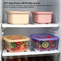 Multicolor siliconen diepvriesbakjes met ventilatieklep, draagbaar, luchtdicht, rechthoekig design, geschikt voor levensmiddelen.