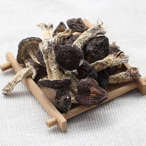 Chi Song Rong Vin Séché Sauvage Stropharia Champignon Jardin Géant Bourgogne Champignon à Vendre - Product Image 5