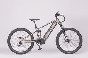 Bicicleta eléctrica para adultos, llanta ancha de aleación de aluminio, personalizada, 48V, 2022 W, gran oferta, 750 - Product Image 6