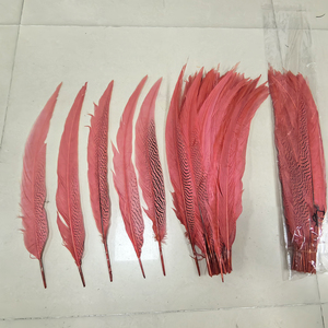 Vente en gros de plumes de faisan argenté de 15 à 80 cm, plumes de faisan blanc pour costumes de <span class=keywords><strong>carnaval</strong></span>, décoration de performance de samba - Product Image 6