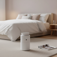 TX500 400ml Portable Diffuseur D'huiles Essentielles En Gros Logo Personnalisé Hôtel Voiture Désodorisant Diffuseur Sans Eau
