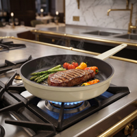 Poêle à frire ronde en fonte émaillée, design léger, pour cuisinières à gaz et à induction, restauration, vente en gros