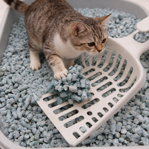 Fresh Step Eco-Paper <span class=keywords><strong>Pellet</strong></span> Litière pour chat Morceaux de papier recyclables dégradables à l'iode - Product Image 1