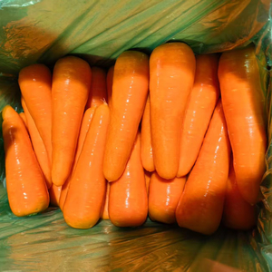 Tươi Cà rốt tươi rau Nhà cung cấp giá cả phải chăng giá <span class=keywords><strong>2025</strong></span> Mới Cây Trồng Màu Đỏ cà rốt tươi Cà rốt S/M/L/XL/2L/3L - Product Image 1