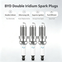 Bougies d'allumage double iridium pour BYD Qin Plus Song Plus DM-i 1.5L, OE 13505385-00, allumage plus puissant, durée de vie ultra longue 100 000 km