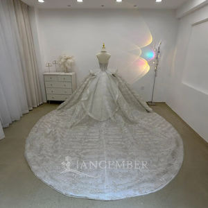 Vestido de Novia con Lujosas Aplicaciones de Encaje y Cuentas, Espalda con Cordones, Cola Larga Brillante, Personalizado Lsjj23 - Product Image 2