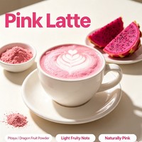 100g Private Label Drakenfruitpoeder met Kokosmengsel roze Matcha poeder roze Matcha Latte poeder