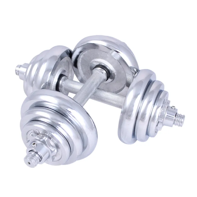 Direct Selling Electroplated Women Dumbbell 30kg Dumbbell Sales for Home