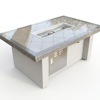 Table de foyer au gaz propane portable, design carré, construction en acier inoxydable, facilement assemblable, avec bouton de commande pour foyer extérieur