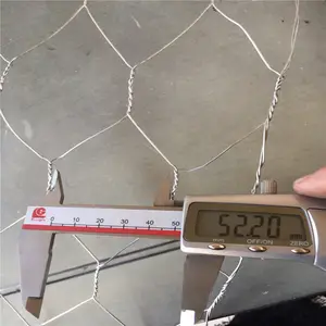 Fio galvanizado hexagonal para galinha, malha revestida de plástico do frango para galinha