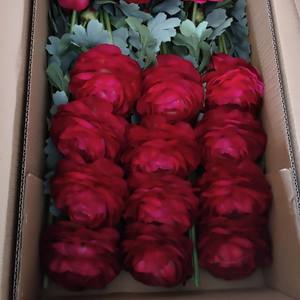 Ranunculus rosa y blanco, flor de simulación de ensueño, decoración de boda, se puede reutilizar y nunca se marchita - Product Image 2