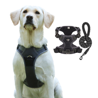 Harnais Poitrail Anti-Traction Respirant et Réfléchissant pour Chien, Ensemble Gilet et Laisse en Nylon Oxford – Vente Chaude en Gros