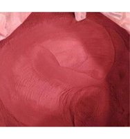 Phosphore rouge enduit ignifuge YMRP-80, teneur de 80 % pour matériaux synthétiques