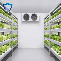 Cabine de culture de champignons intelligente avec contrôle climatique motorisé à distance, conteneur hydroponique à haut rendement pour la culture de champignons, précision optimale