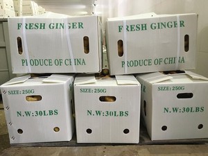 2025 tươi gừng số lượng lớn hỗn hợp 150g + Đóng gói khô gừng giá rẻ Giá 20 Container vận chuyển xuất khẩu - Product Image 5