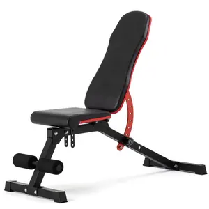 Wellshow Sport Verstelbare Sit Up Bench Fitness Oefening Apparatuur Liggende Boord Fitness Bank Voor Body Building