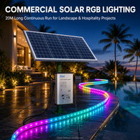 Lampu Strip LED RGB Tenaga Surya Bersertifikasi CE FCC, Baterai Bersertifikasi MPPT 24% Mono PV 10M Tiang Lanskap untuk Proyek Perkotaan Berkelanjutan