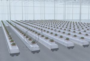 Jiapei Factory One Stop Solution Invernadero Sistema de elevación de <span class=keywords><strong>fresas</strong></span> Invernadero automático agrícola inteligente - Product Image 2