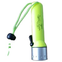 Lampe de poche de plongée étanche/torche en plastique LED/lampe de poche de plongée LED en plastique