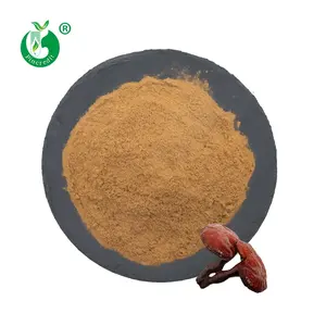 Kaufen Sie natürliche hochwertige Bio-Ganoderma Lucidum Reishi Pilz pulver Extrakt
