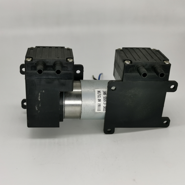 Hot Sale Factory Direct Price Small DC 12V Dual Head Vacuum Pump