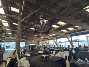 Ventilateur de circulation industriel de 72 pouces avec moteur CC sans balais pour la ventilation des usines et des entrepôts, ventilateur de refroidissement à haut volume pour grands espaces - Product Image 2