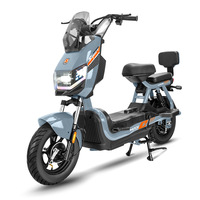 Vélo Électrique Léger Hercules Battleship avec Moteur Arrière Brushless 48V, 3 Vitesses, Batterie au Plomb, Personnalisable OEM/ODM, Usine Source Export