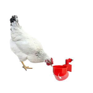 Nuevo Diseño de Bebedero Automático para Aves de Corral, Taza para Beber para Pollos, Palomas y Codornices - Product Image 1