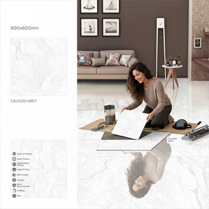 Vistaar California Pearl 600x600mm Polished Porcelain Floor Tiles Glossy Marble Design 24x24 - Product Image 2