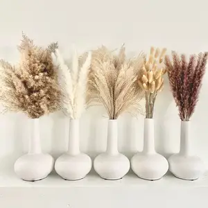 Лидер продаж, бесплатный образец, натуральная пампасная трава, ваза, сухие цветы, букеты, маленькие сушеные белые пампассы, пампасс трава