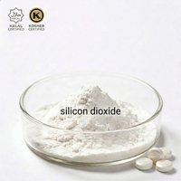 Poudre de dioxyde de silicium à faible teneur en impuretés, certifiée HALAL KOSHER, qualité alimentaire, excipients pour comprimés et capsules, marque Yuanri, durée de conservation de 24 mois