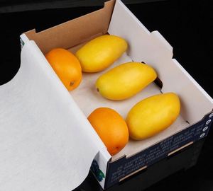 Environmentally Friendly Disposable Fruit Absorbent Pads for Vacuum Packaging of <b>Meat</b> Seafood & Fruits - Product Image 2