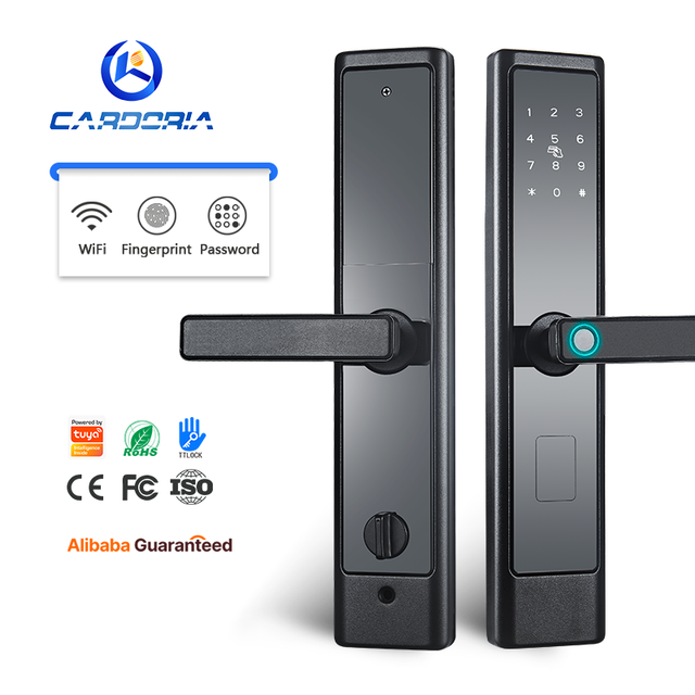 WiFi Control Fingerprint & Password Access Smart Lock with Digital Touch Keypad Tuya TTlock Finger Reader Reader Entrance