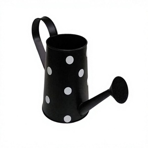 Regadera de hierro color negro, diseño fantástico, tamaño y forma personalizables, regadera para plantas, decoración de jardín. - Product Image 1