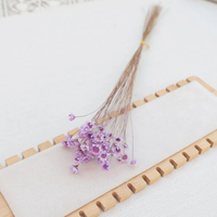 Fleur séchée brésilienne Little Star, mini marguerite étoilée séchée, Glixia naturelle pour arrangements floraux DIY