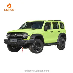 New Automobile Tank 300 2023 Off-road Version 2.0T Conqueror China Vehicle From China