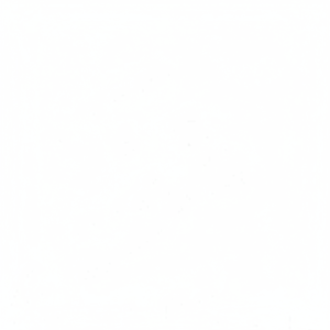 เรามีจำหน่ายชุดลูกปืน Z10XE รวมถึงลูกปืนก้านสูบ (90542593) ลูกปืนเพลาข้อเหวี่ยง (90542529) รูปแบบ STD (0.25 - Product Image 1