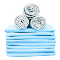 Fabricant en gros de coussinets d'apprentissage jetables extra larges pour chiens et chiots