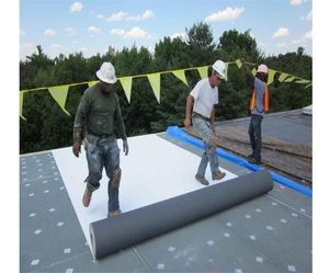 Membrane de toiture multicouche en TPO 2 mm blanc/noir, en tissu renforcé de polyester 80 mil, pour la réparation de toitures isolées préfabriquées - Product Image 5