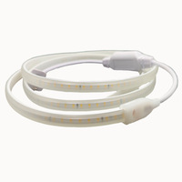 Bande lumineuse LED 220V sans fil 2835 double rangée 120 LED haute luminosité IP20 ABS intérieur extérieur maison CRI80 6000K/3500K 100lm/W