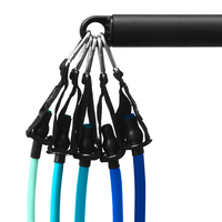 Ensemble de 11 pièces d'élastiques de résistance multifonctionnels pour entraînement, avec barre de traction et bande de résistance en caoutchouc