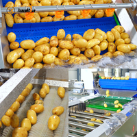 Industriële tomaten-, radijs-, wortel-, komkommer- en borstelwasmachine, groente- en fruit sorteermachine, aardappelwas- en sorteerlijn