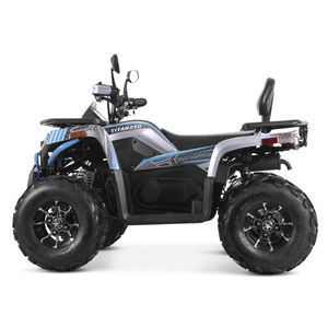Tao Motor Nouveau Chinois Vente en Gros Moteur Automatique 4 <span class=keywords><strong>Temps</strong></span> Essence Taille Adulte Hors Route 4 Roues ATV 250cc - Product Image 3
