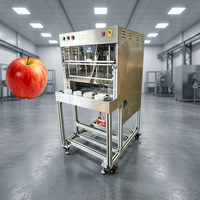 Automatische fruit- en groenteschil-, ontpitten- en snijmachine met 4 koppen, hoge productiviteit en hoogwaardige onderdelen