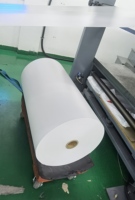 Film d'étiquetage en moule (IML) BOPP souple blanc opaque OEM avec excellente adhérence, idéal pour l'emballage de bouteilles par soufflage.
