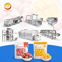 ORME Industriële Knoflook Ananas Was- en Vrieslijn Voedsel Fruit Groente Reinigings- en Vriesmachinelijn